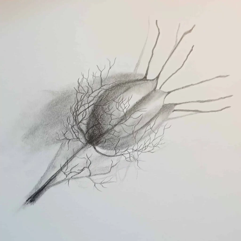 Love in a mist